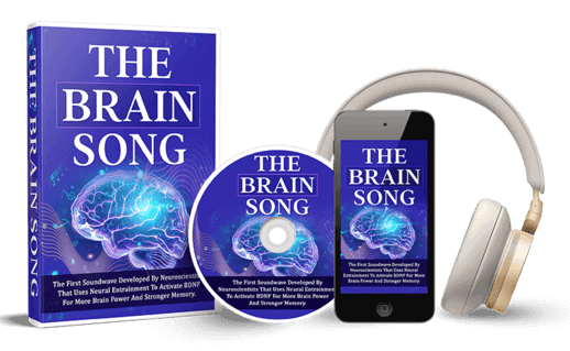 The Brain Song