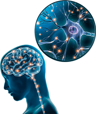 The Brain Song Program